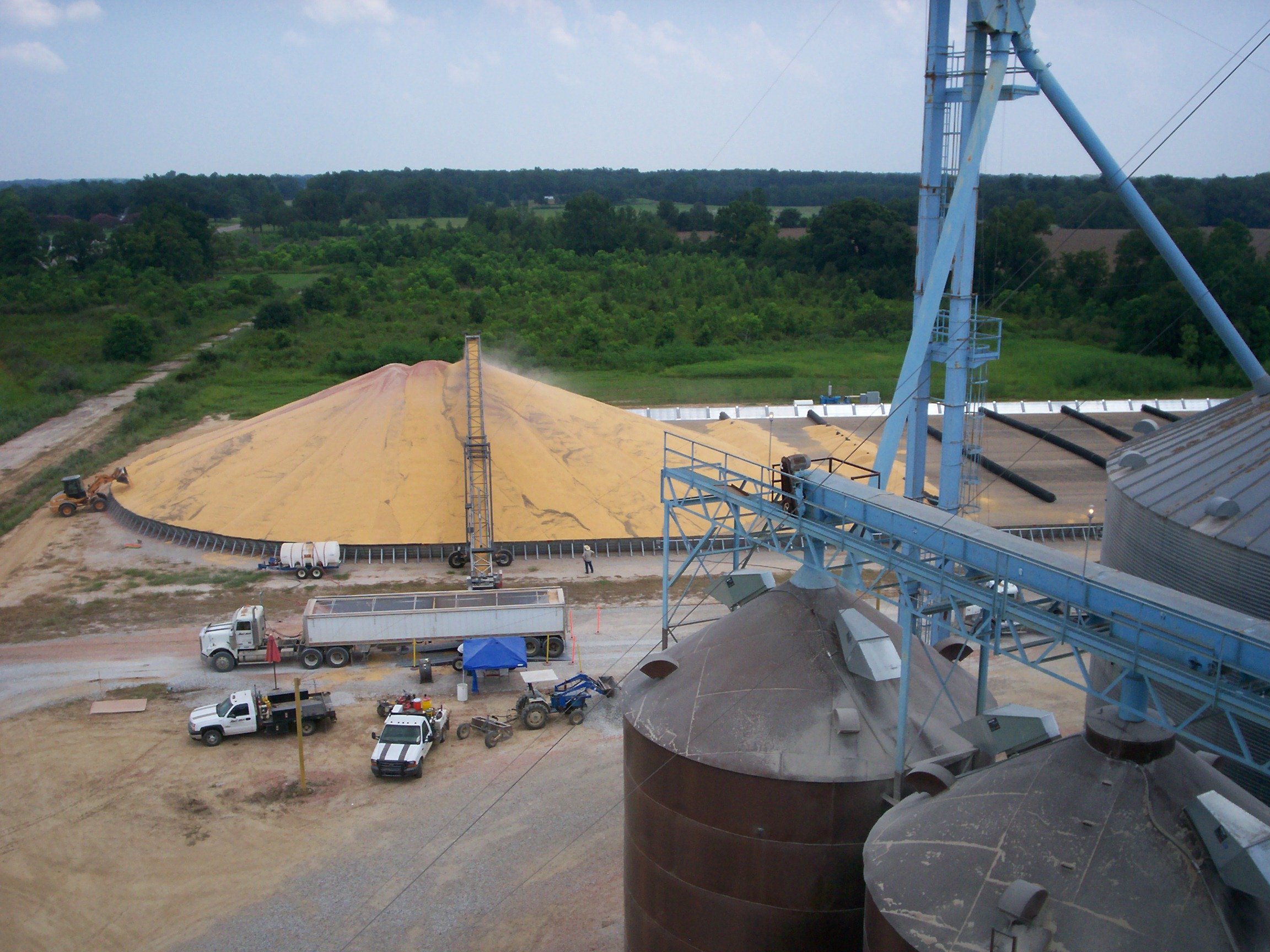 Grain Pile at Elevator