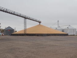 Corn Pile