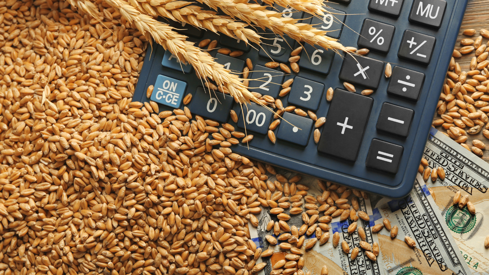 wheat calculator money