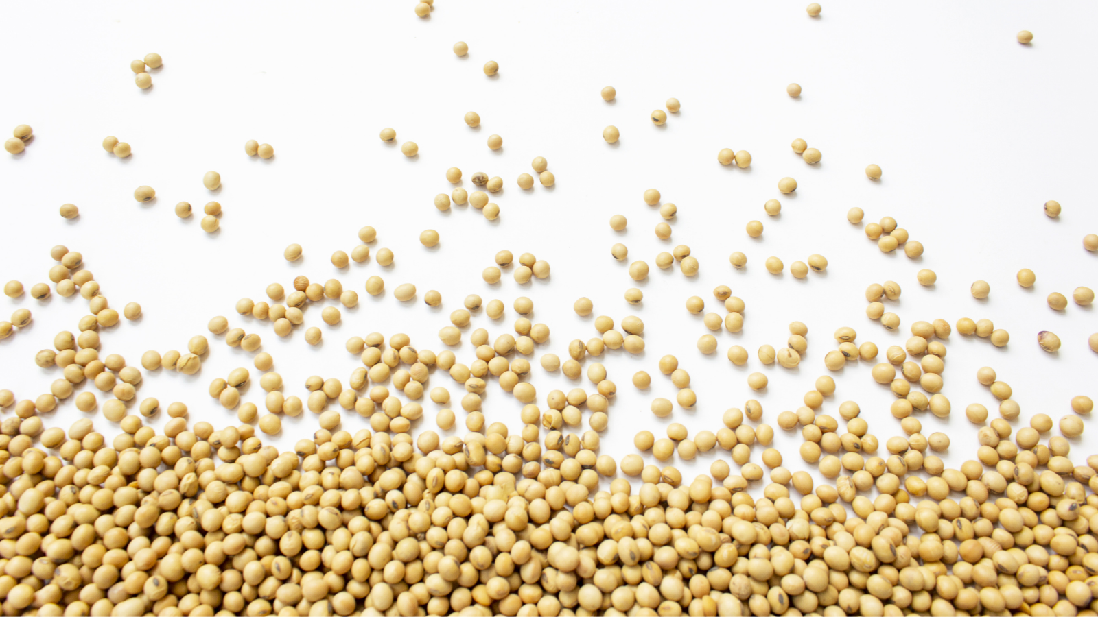 How to Lock in Profits for Soybean Processing Plants