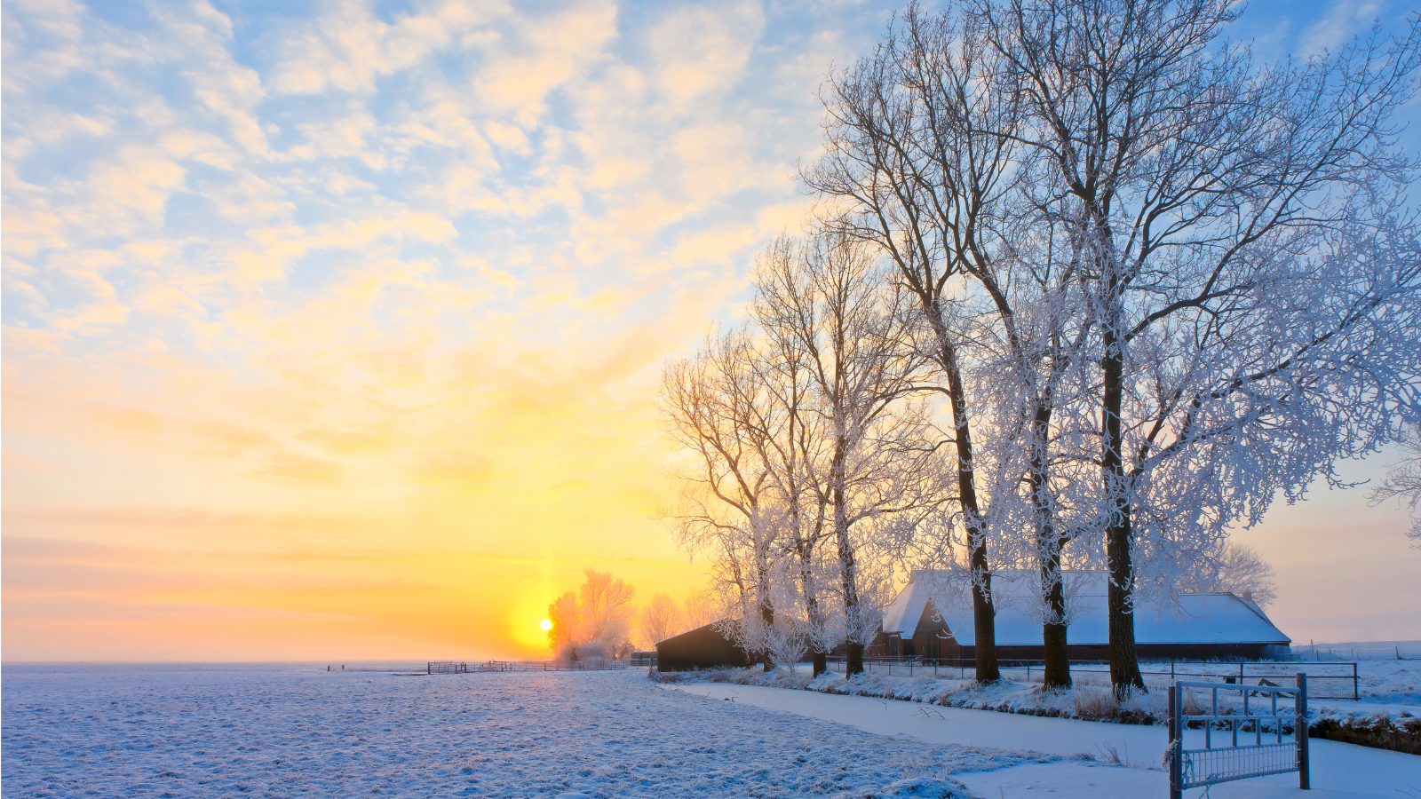 winter scene